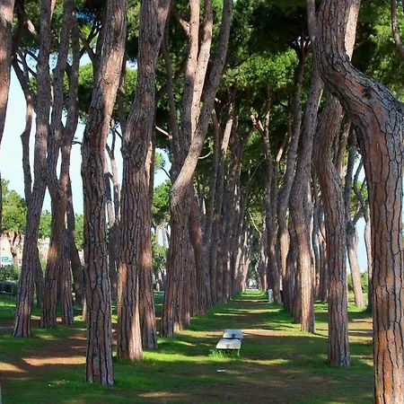 Residenza Il Corallo - Corallo Rosa - Pineto