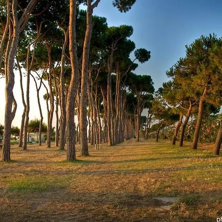 Residenza Il Corallo - Corallo Rosa - Apartment Pineto